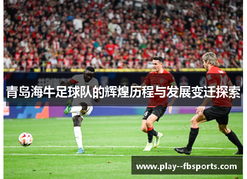 青岛海牛足球队的辉煌历程与发展变迁探索