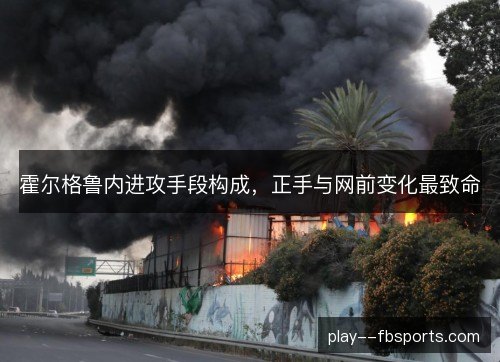 霍尔格鲁内进攻手段构成，正手与网前变化最致命